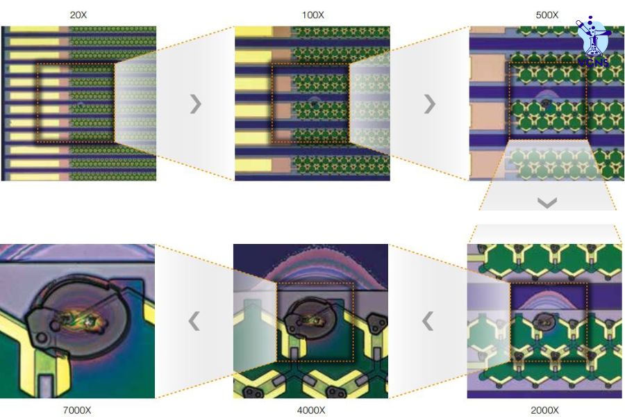 Hình ảnh thu được từ kính hiển vi kỹ thuật số 3D sắc nét